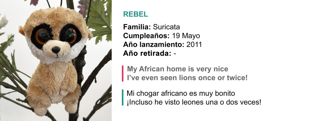 La imagen tiene un atributo ALT vacío; su nombre de archivo es rebel-1024x392.jpg